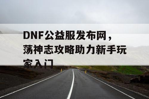 DNF公益服发布网，荡神志攻略助力新手玩家入门