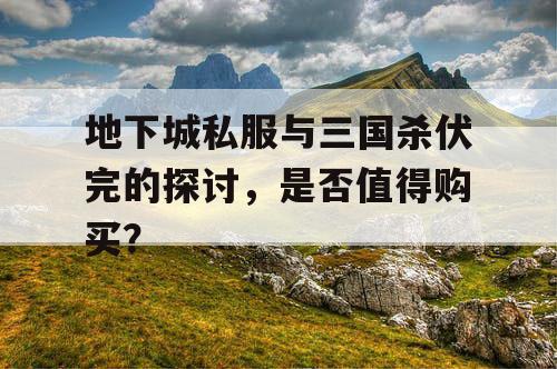 地下城私服与三国杀伏完的探讨，是否值得购买？