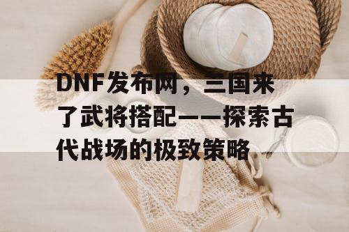 DNF发布网，三国来了武将搭配——探索古代战场的极致策略