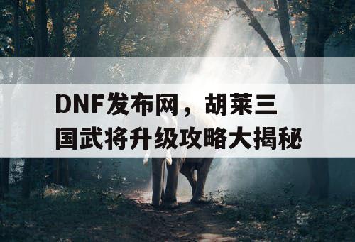 DNF发布网，胡莱三国武将升级攻略大揭秘