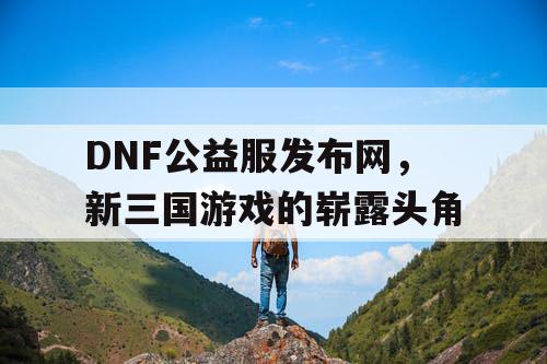 DNF公益服发布网，新三国游戏的崭露头角