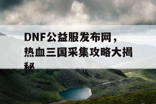 DNF公益服发布网，热血三国采集攻略大揭秘