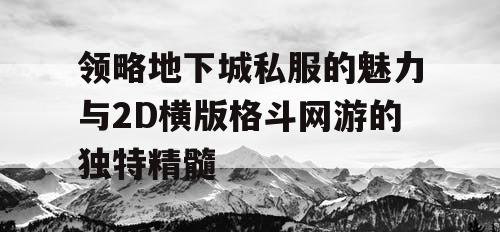 领略地下城私服的魅力与2D横版格斗网游的独特精髓