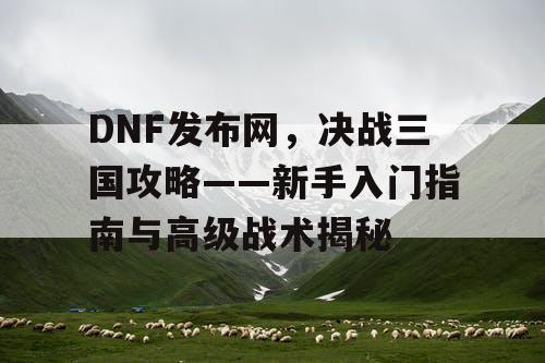 DNF发布网，决战三国攻略——新手入门指南与高级战术揭秘