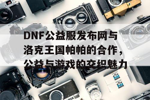 DNF公益服发布网与洛克王国帕帕的合作，公益与游戏的交织魅力