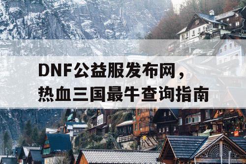 DNF公益服发布网，热血三国最牛查询指南