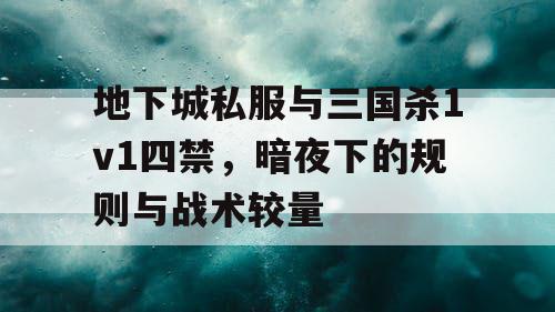 地下城私服与三国杀1v1四禁，暗夜下的规则与战术较量