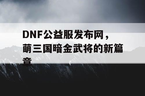 DNF公益服发布网，萌三国暗金武将的新篇章