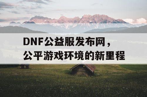 DNF公益服发布网，公平游戏环境的新里程